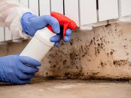 Best Basement Mold Removal in Winnsboro Mills, SC